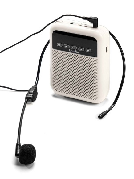 LAudio WS-VA030-Pro